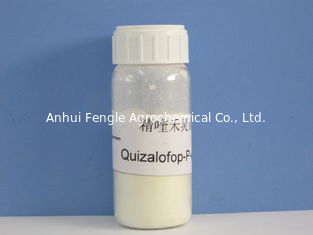 Quizalofop-P- Ethyl95%TC, 98%TC, soja/pesticida agroquímico para las malas hierbas herbosas anuales, polvo grisáceo del algodón