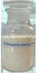 Herbicida selectivo el 95% Tc de Tribenuron Metilo del herbicida para controlar malas hierbas hojosas