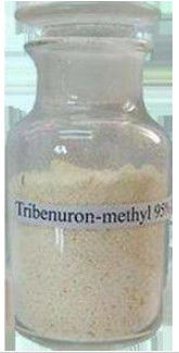 Herbicida selectivo el 95% Tc de Tribenuron Metilo del herbicida para controlar malas hierbas hojosas