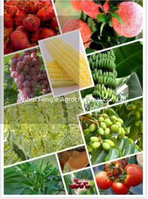 25057-89-0 herbicida agroquímico Bentazone 95%TC de los pesticidas