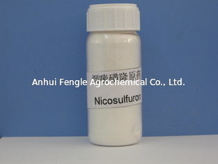 Herbicida Nicosulfuron el 97% TC CAS No 111991-0904